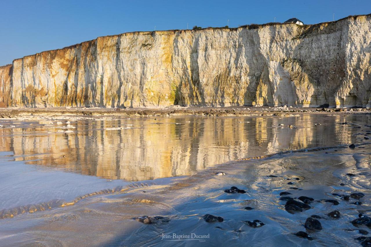 Le 101 - Les Locations Isahora Daire Eu (Seine-Maritime) Dış mekan fotoğraf