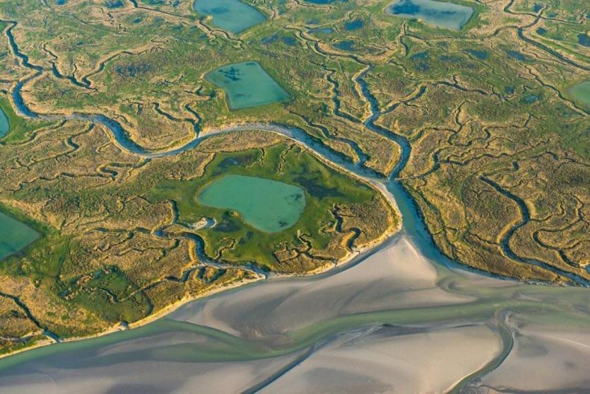 Le 101 - Les Locations Isahora Daire Eu (Seine-Maritime) Dış mekan fotoğraf